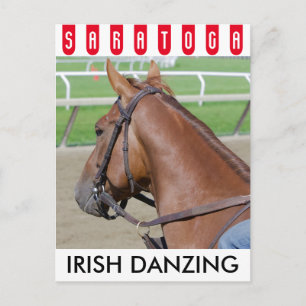 Irish Danzing 2 yr. old filly Postcard
