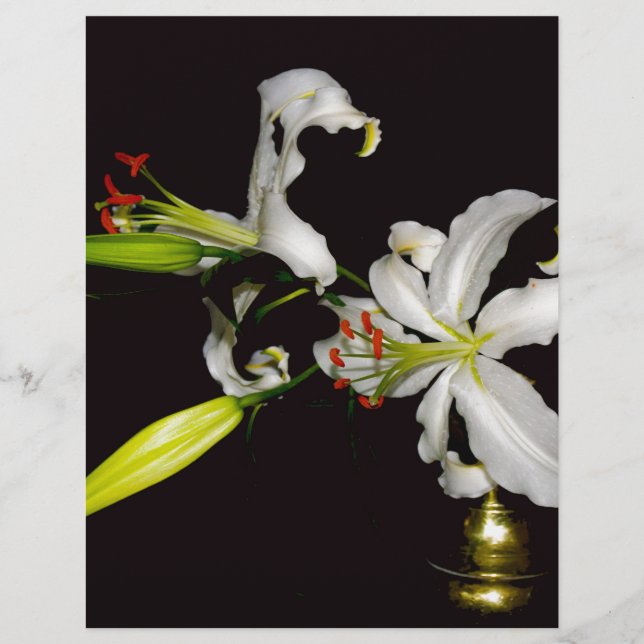 Irish Design- Brass and Flower Collection (Front)