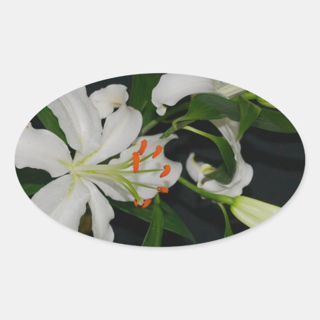 Irish Design-Brass and Flower Collection Oval Sticker (Front)