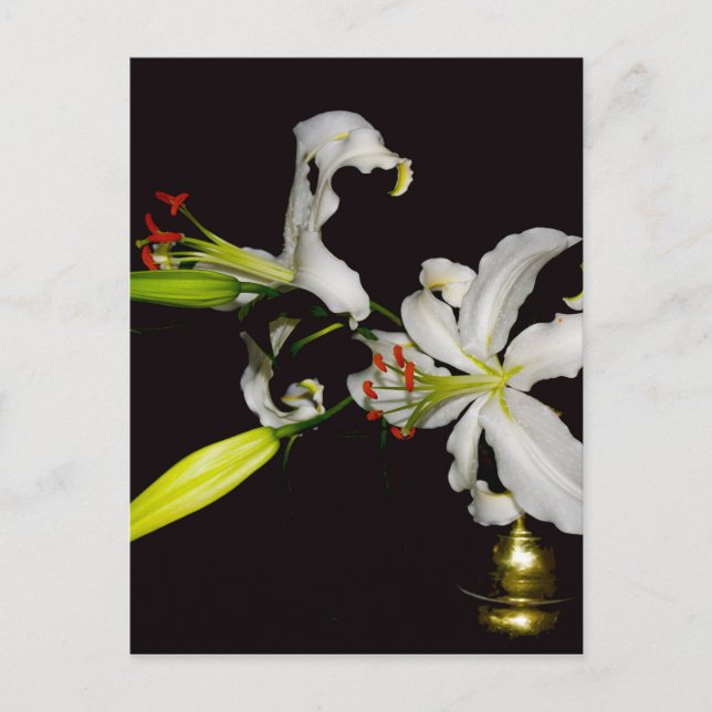 Irish Design- Brass and Flower Collection Postcard (Front)