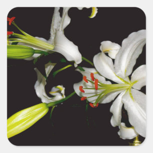 Irish Design- Brass and Flower Collection Square Sticker