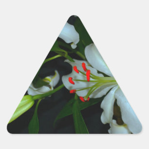 Irish Design-Brass and Flower Collection Triangle Sticker