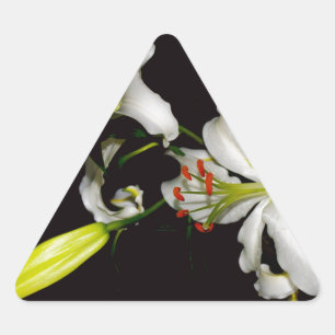 Irish Design- Brass and Flower Collection Triangle Sticker