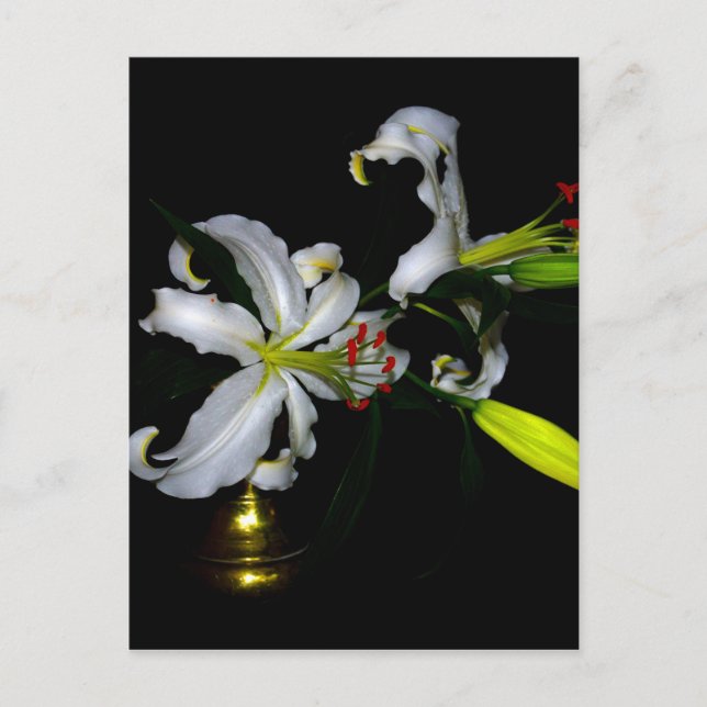 Irish Design-Brass and Flower Design Postcard (Front)