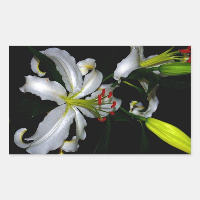 Irish Design-Brass and Flower Design Rectangular Sticker (Front)