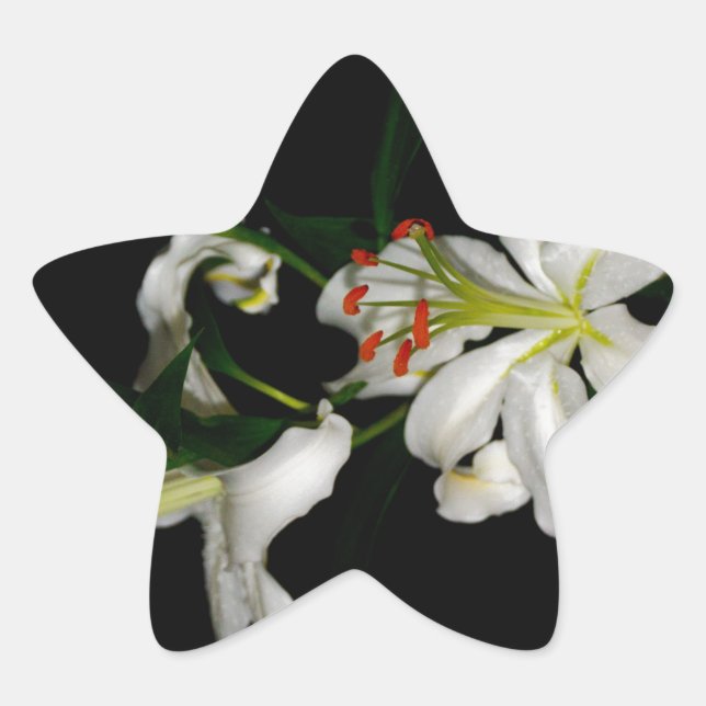 Irish Design-The Flower Collection Star Sticker (Front)
