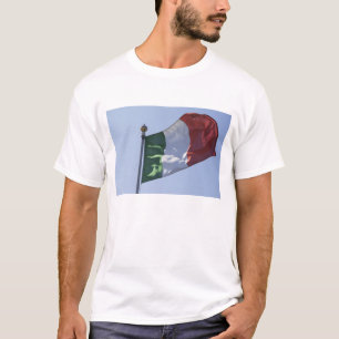 Irish Flag T-Shirt