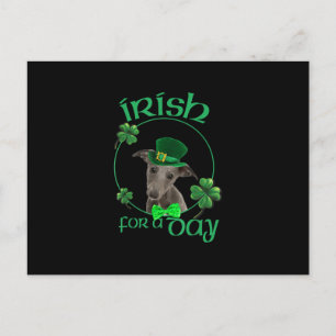 Irish For A Day Whippet Lucky Dog In Patrick Day Postcard