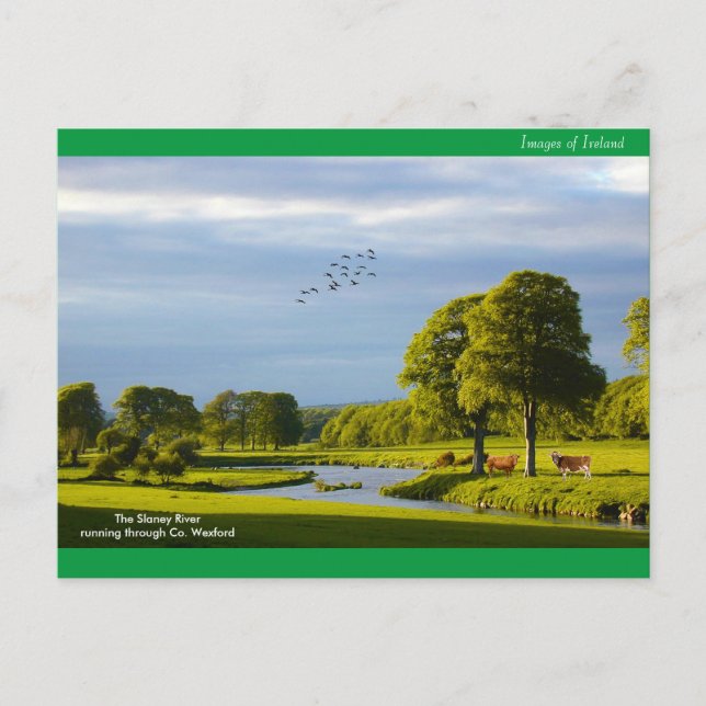 Irish image for postcard (Front)