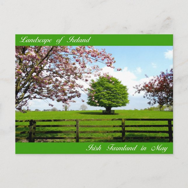 Irish Images for postcard (Front)