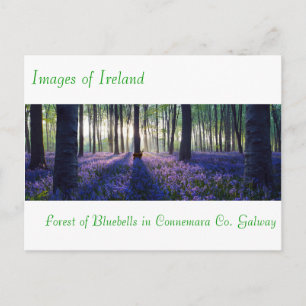 Irish Images for postcard
