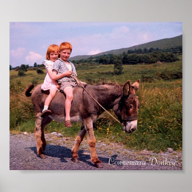 Irish Images poster (Front)