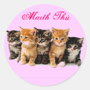 Irish Language reward stickers