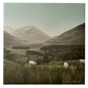 Irish Mountain Scene Tile