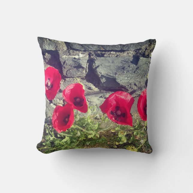 IRISH POPPY AND STONE WALL CUSHION (Front)