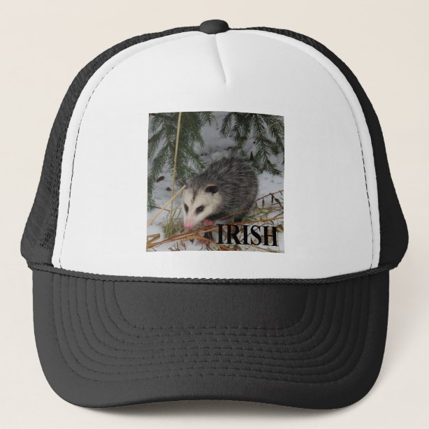 Possum Hats & Caps | Zazzle AU