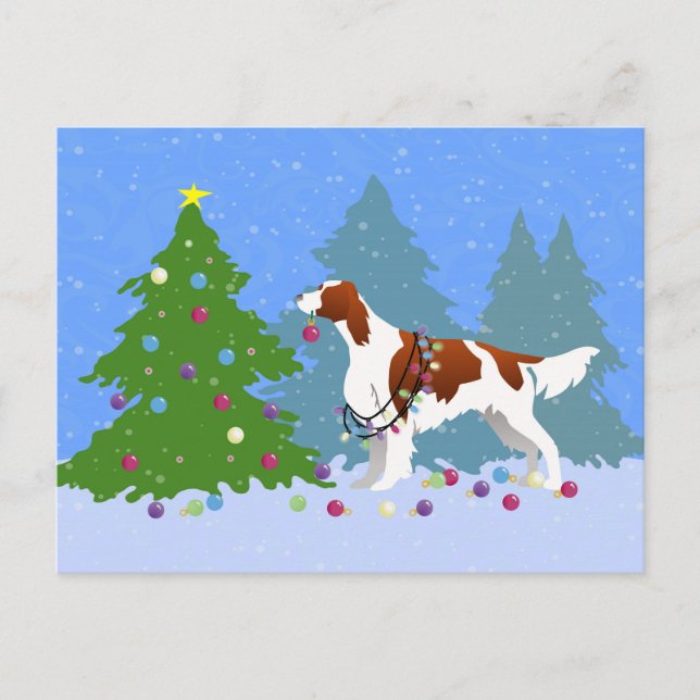 Irish Red and White Setter Decorating Tree Postcard (Front)