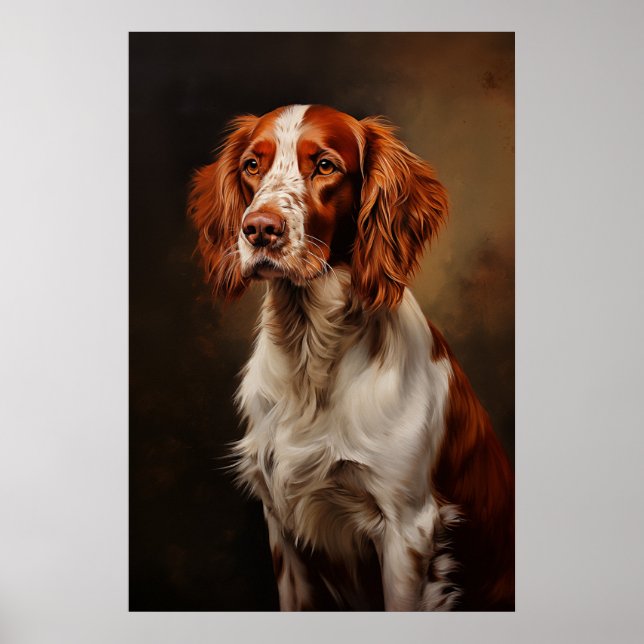 Irish Red and White Setter Poster (Front)