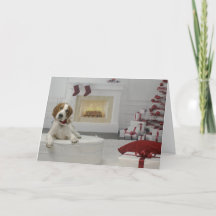 Irish Red and White Setter Puppy Holiday Card