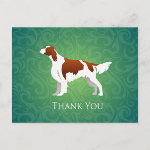 Irish Red and White Setter Thank You Postcard