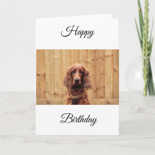 Irish Red Setter Birthday Card