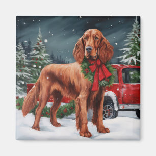 Irish Red Setter Dog in Snow Christmas Magnet