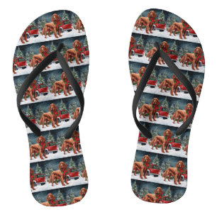Irish Red Setter Dog in Snow Christmas Thongs