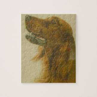 Setter Reddish Dog Crossword Clue | irish jigsaw puzzles zazzle com au Setter Reddish Dog Crossword Clue | irish jigsaw puzzles zazzle com au