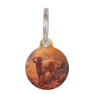 Irish Red Setter in Autumn Leaves Fall Inspire  Pet Tag