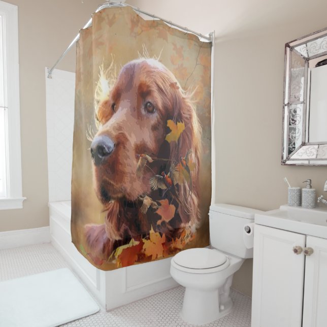Irish Red Setter, Irish Setter Shower Curtain (In Situ)