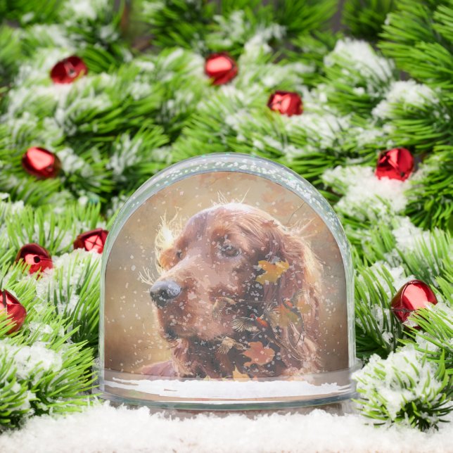 Irish Red Setter, Irish Setter Snowglobe (Christmas)