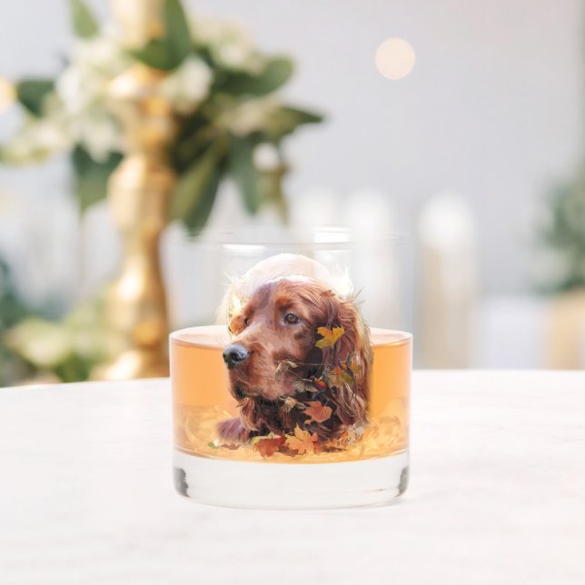 Irish Red Setter, Irish Setter Whiskey Glass (Insitu (Wedding))