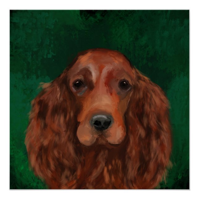 Irish Red Setter Poster (Front)