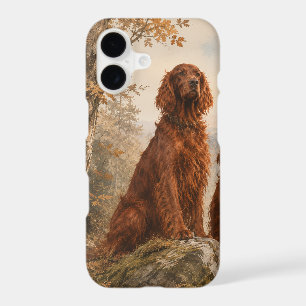 Irish Setter