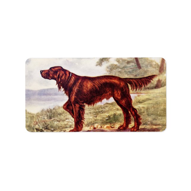 Irish Setter 1900 Illustration of Sporting Dog Label (Front)