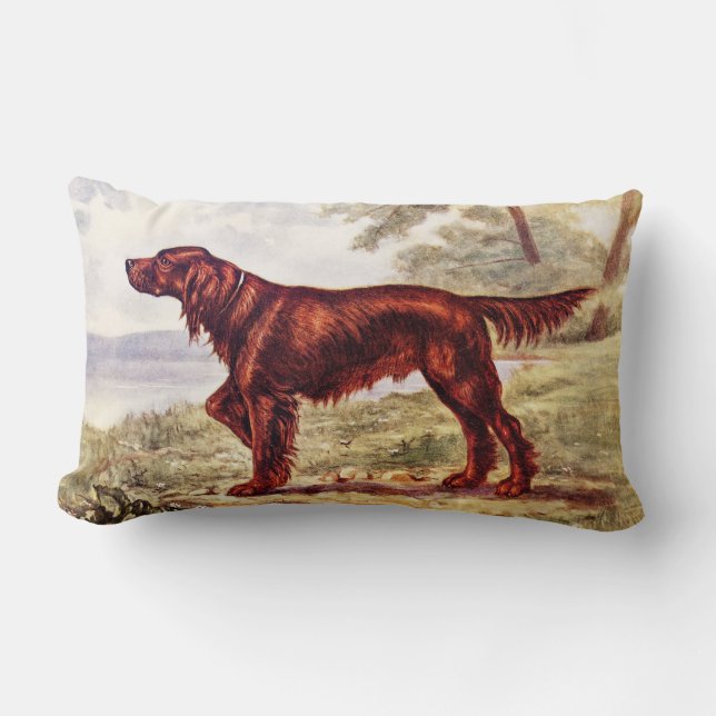 Irish Setter 1900 Illustration of Sporting Dog Lumbar Cushion (Front)