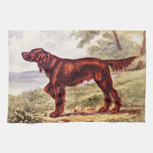 Irish Setter 1900 Illustration of Sporting Dog Tea Towel