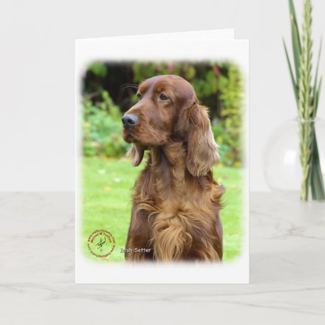 Irish Setter 9T004D-286 Card (Front)