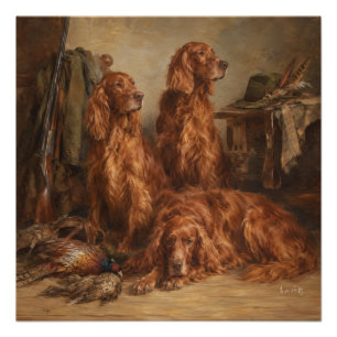 Irish Setter ,Art Poster