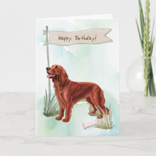 Irish Setter Breed Dog Under Birthday Sign Card