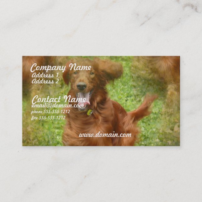 Irish Setter Business Card (Front)