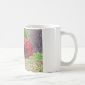 Irish Setter by a Burning Bush Coffee Mug
