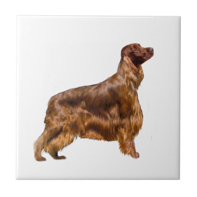 Irish Setter Ceramic Tile (Front)