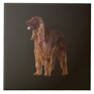 Irish Setter Ceramic Tile