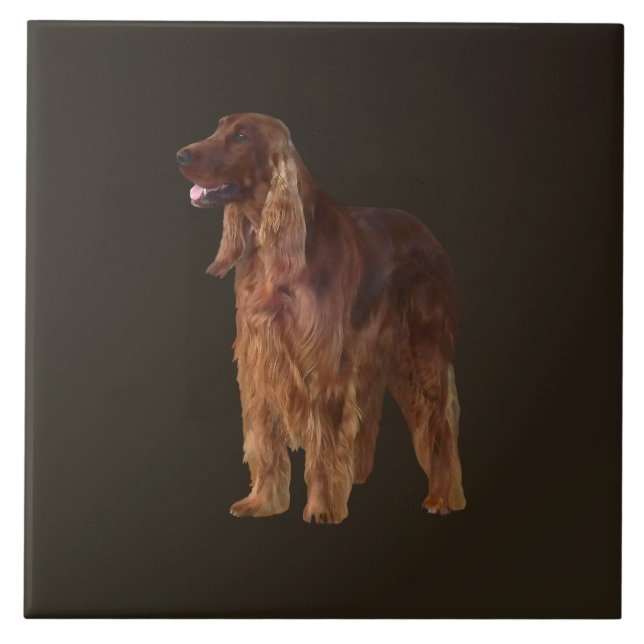 Irish Setter Ceramic Tile (Front)