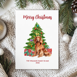 Irish Setter Christmas Card