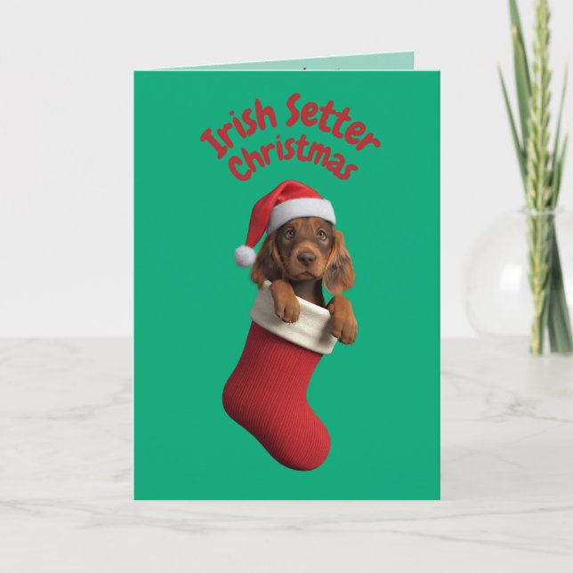 Irish Setter Christmas Stocking Card (Front)