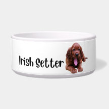 Irish Setter - dog bowl by breed 