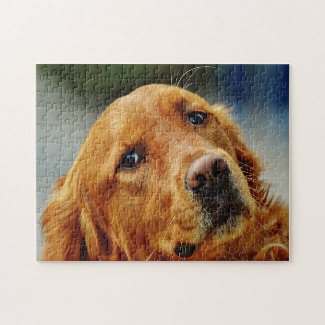 Irish Setter Dog. Jigsaw Puzzle (Horizontal)