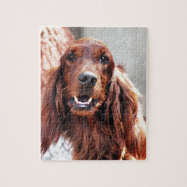 Irish Setter Dog Jigsaw Puzzle (Vertical)